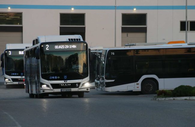 311101727_544060607720861_109039467573316811_n